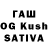 Псилоцибиновые грибы Cubensis Taiko Chan