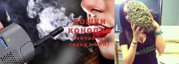 стаф Елабуга