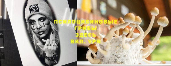 таблы Гусиноозёрск