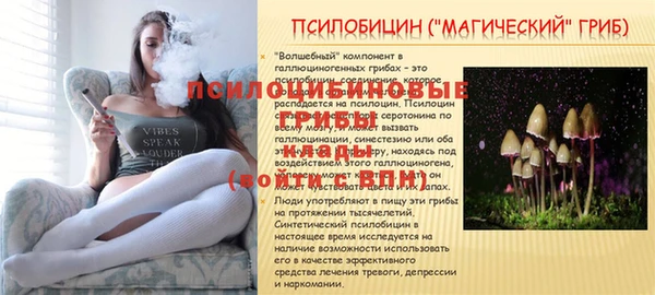 MDMA Premium VHQ Дмитров