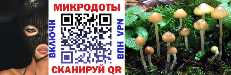 Галлюциногенные грибы мицелий  Купить  Калачинск 